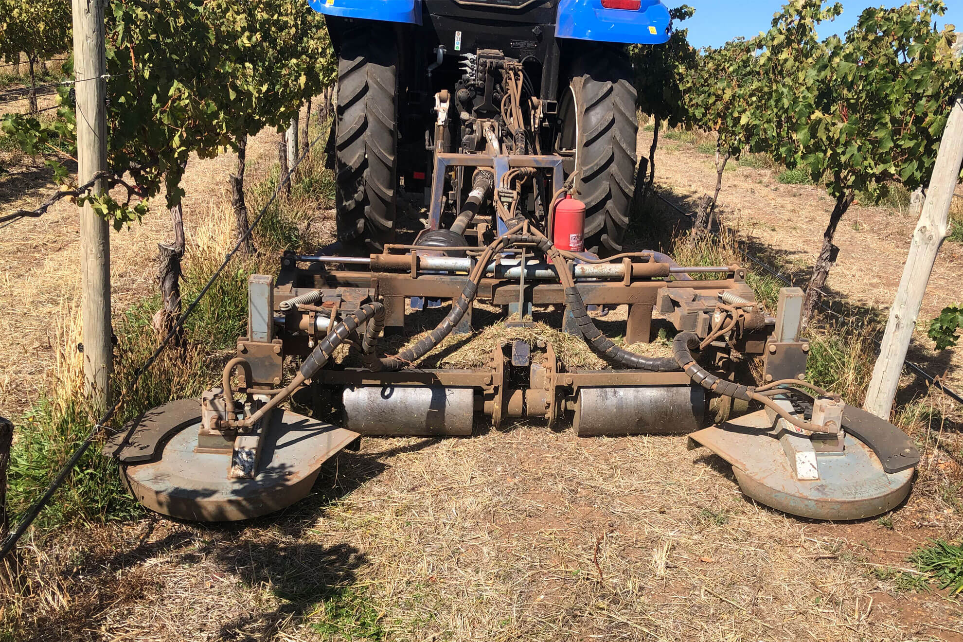 Weed control by Pridham viticulture
