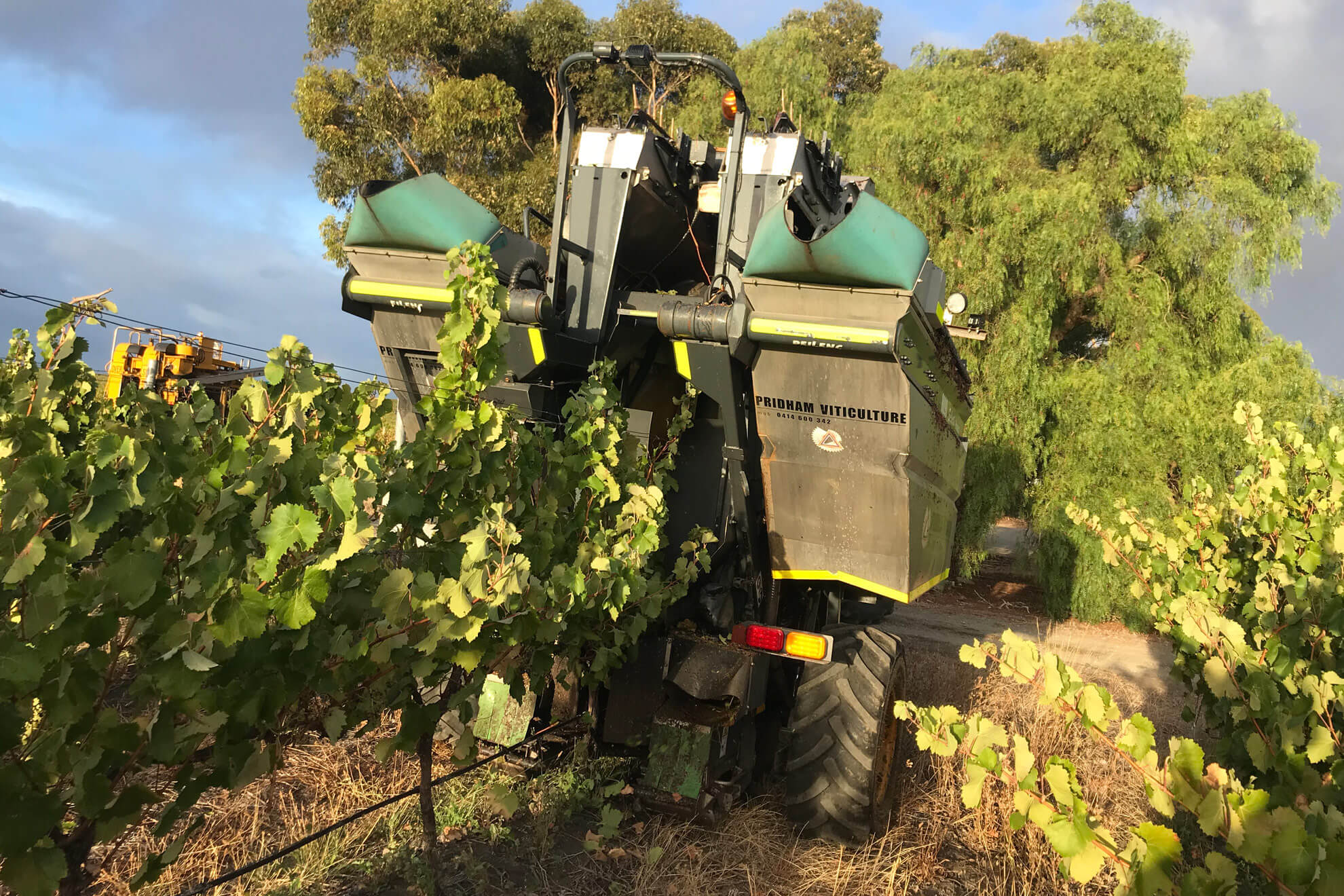 Machine Compressed Harvesting
